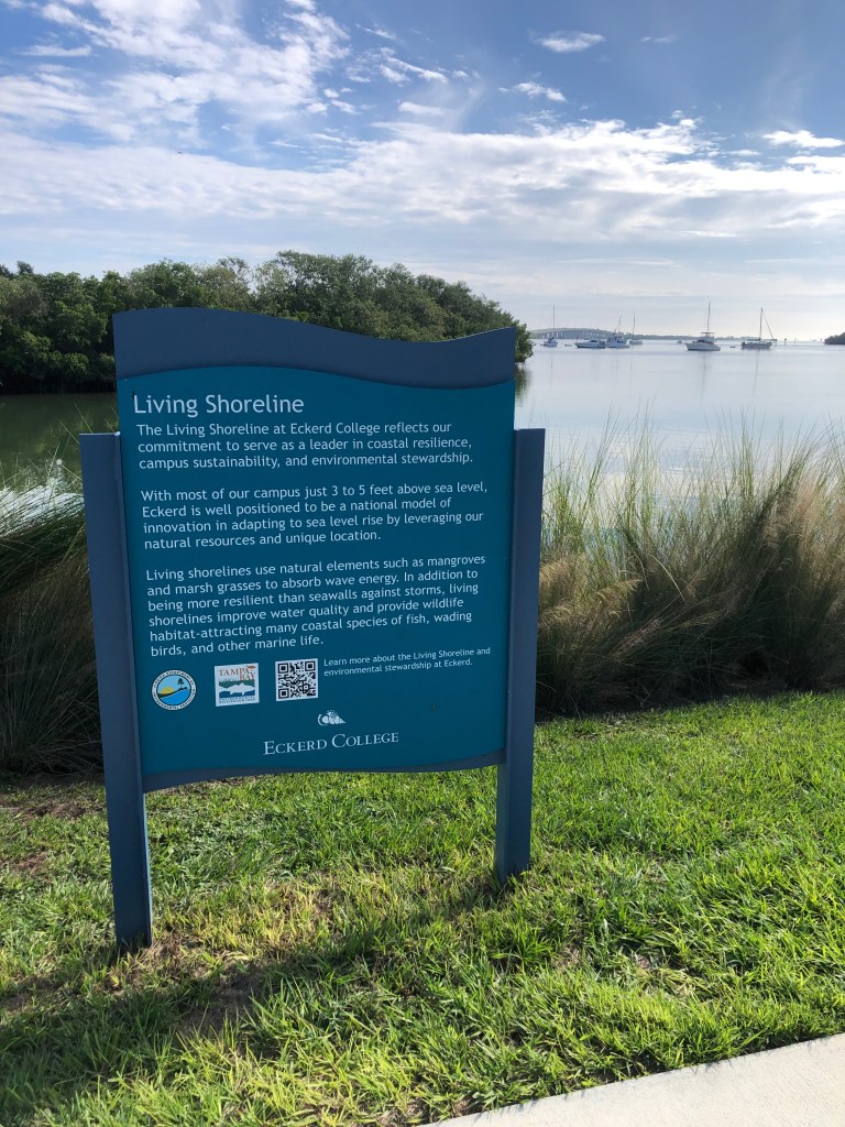 A blue informational sign titled "Living Shoreline" stands in a grassy area overlooking a calm body of water with several sailboats anchored in the distance.