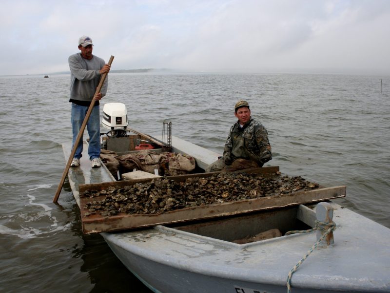 Two men on a small motorboat filled with freshly harvested oysters in Apalachicola Bay. One man stands and poles the boat while the other sits, with foggy, open water surrounding them.